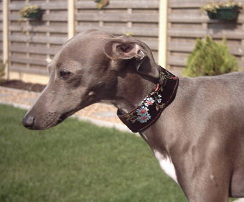 1 1/2" Collars