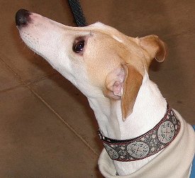 1 1/2" Collar